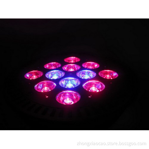 36w factory price!High Quality E27 Par38 Led Spot Light